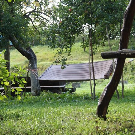 Садиба Під Гострою Schdenijewo Exterior foto