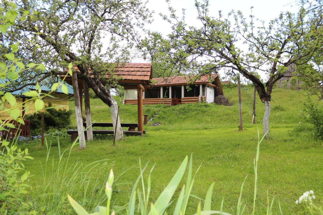 Садиба Під Гострою Schdenijewo Exterior foto